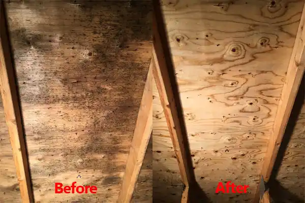 water damage restoration service Bethlehem